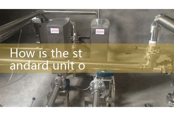 Gas steam flowmeter